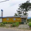 강릉가설 이미지