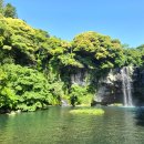 수수께끼 이미지