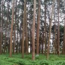 삼계1리 이미지