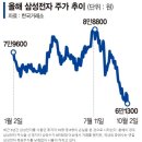 삼성전자 매수자 이러다 다 죽는다… 3년간 81%는 손실 이미지