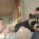 구들장화로구이 이미지