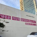 애플바디점핑 | 11월 12월 성수 팝업 모음집.zip(오징어게임2, 유니클로, 톰과제리팝업,LH 뉴홈)