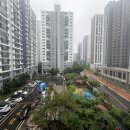 푸른마을의원 이미지