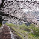 산안2리마을 이미지
