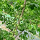 (주)이슬환경