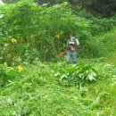 뇌조3리 이미지