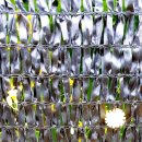 상지말저수지 이미지