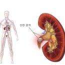 탑연합비뇨의학과의원