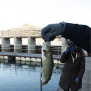 산천어마을 이미지