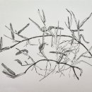 펜으로 그리는 힐링 여행스케치 이미지