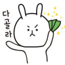 에듀펜샵 이미지
