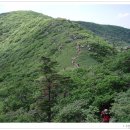 용인푸른산악회(226회차)정기산행10월 2일 일요일 . 강원도 .인제.방태산 (주걱봉 1.443m) 산행합니다.. 이미지
