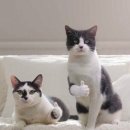 온메디 이미지