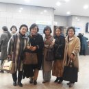 부산문화회관 중극장 Daum카페
