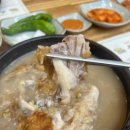유씨네본가누룽지삼계탕 티스토리