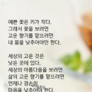 2월18일 토 띠별 운세 ^^ 이미지