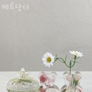 베르닷다