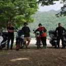 형제조류 이미지