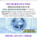뉴산호장 이미지