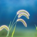 재미있게 이미지