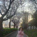 봄날피아노음악학원 이미지