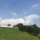 미림목장 이미지