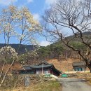 영수사 - 1532 | 영수사