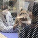 로이동물병원 | 도리 재활하러 병원다녀유 T_T , VIP 동물병원 성북점, 슬개골 재활 후기, 수중런닝머신+레이저치료...