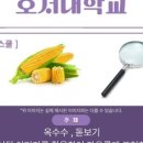 서울대캠퍼스점창조의아침미술학원