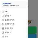파파고 플러스 이용후기 (이거 보고 파파고 키링 안주면 설사걸림)