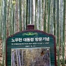 죽녹원 Daum카페