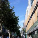 미영사 | 비행유학 미국비자(M-1) 인터뷰 후기