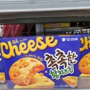 무선로3 | 오리온 신상 촉촉한황치즈칩 2026 봄시즌 한정판 후기 추천 칼로리 가격