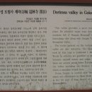 동악산한우 Daum카페