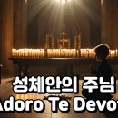 성체안의 주님 이미지