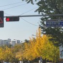 서경대학교 일반대학원 | 종로, 광화문, 경복궁네일/페디 20년 프리미엄 뷰티케어샵 '살롱드소피' 등관리 후기