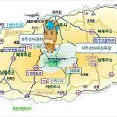 제주7080 Daum카페