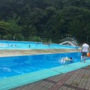 천동물놀이장 이미지