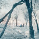 The Electrical life of Louis Wain 이미지