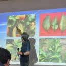 대유농장 이미지