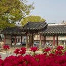 홍성주유소 이미지