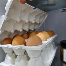 제암농장 이미지