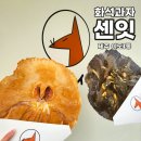제주여행 해산물 디저트 제주이색카페 화석과자 센잇