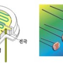 광전전기