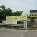 다금식당 이미지