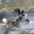 동령농장 이미지