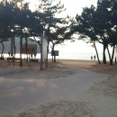 서울당약국 이미지