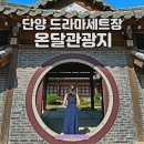 (원정)11월11일(토)단양평강,온달로맨스길단풍 이미지