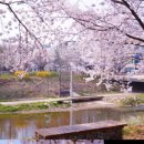 안산 화랑유원지 이미지