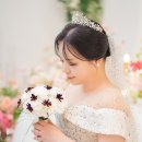 드림PC | W20- 평택 본식 스냅 (달보드레 스냅)